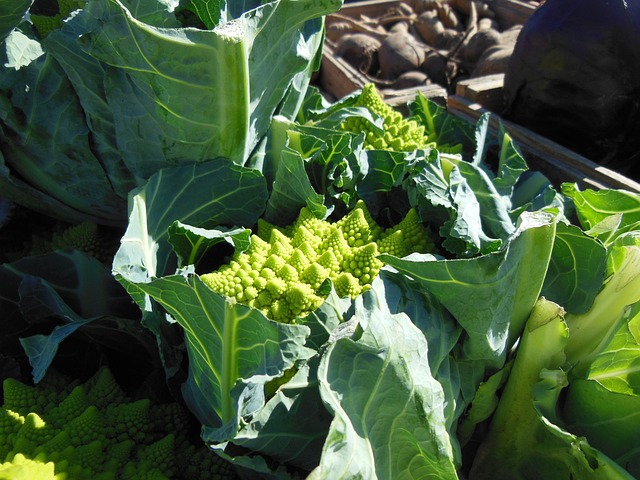 Choux Romanesco Kg